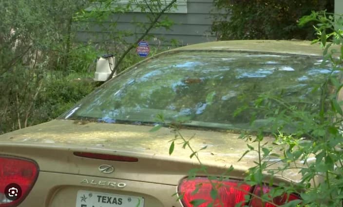 Spring Pollen & Car Paint: Why April Is the Perfect Time for Decontamination in Austin